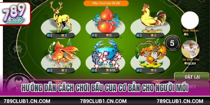 Hướng dẫn quy tắc cược và tỷ lệ trả thưởng 